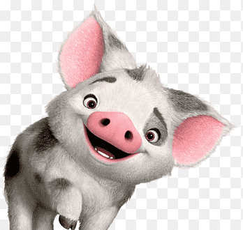 Pua