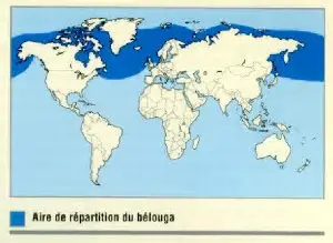 carte répartition du beluga