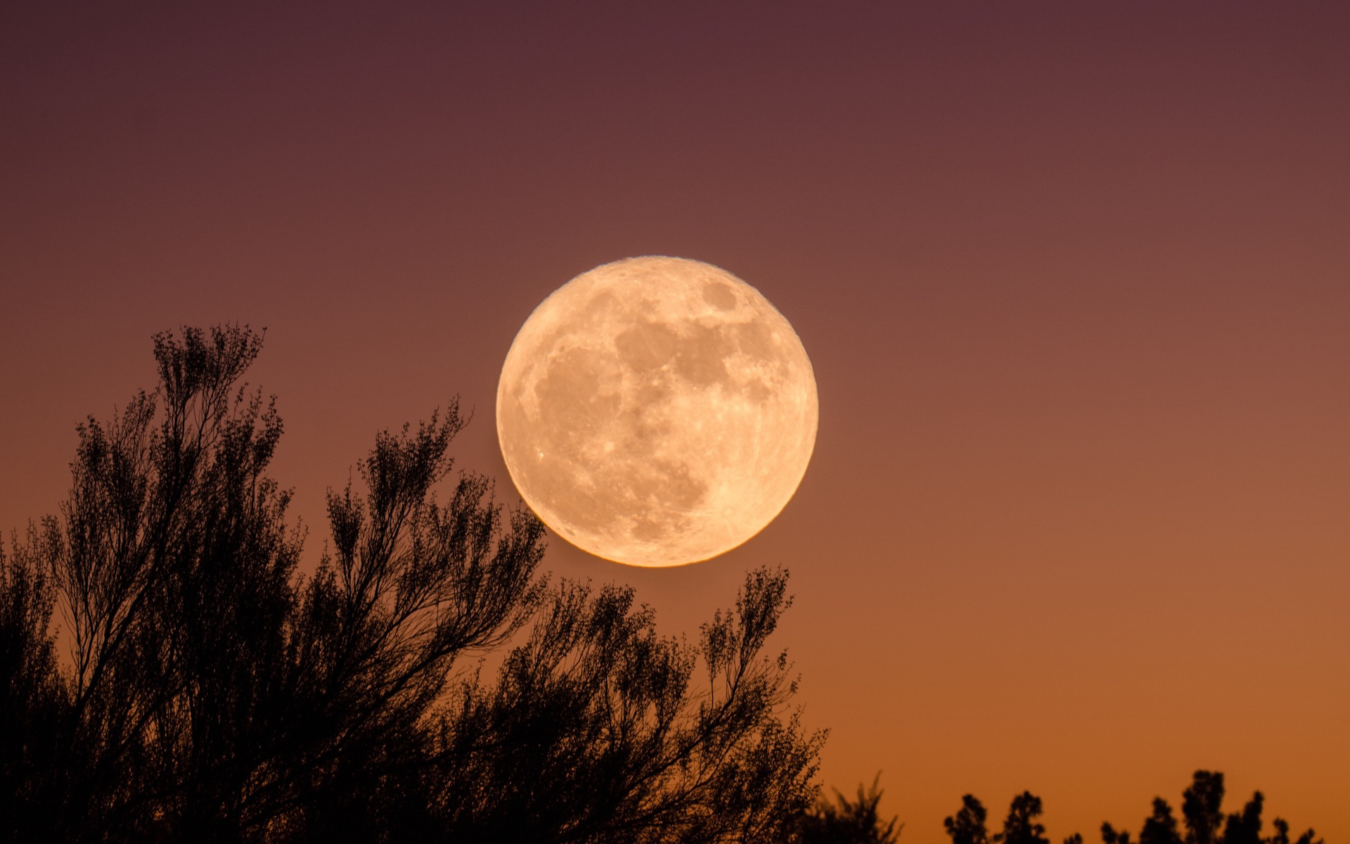 image Lune